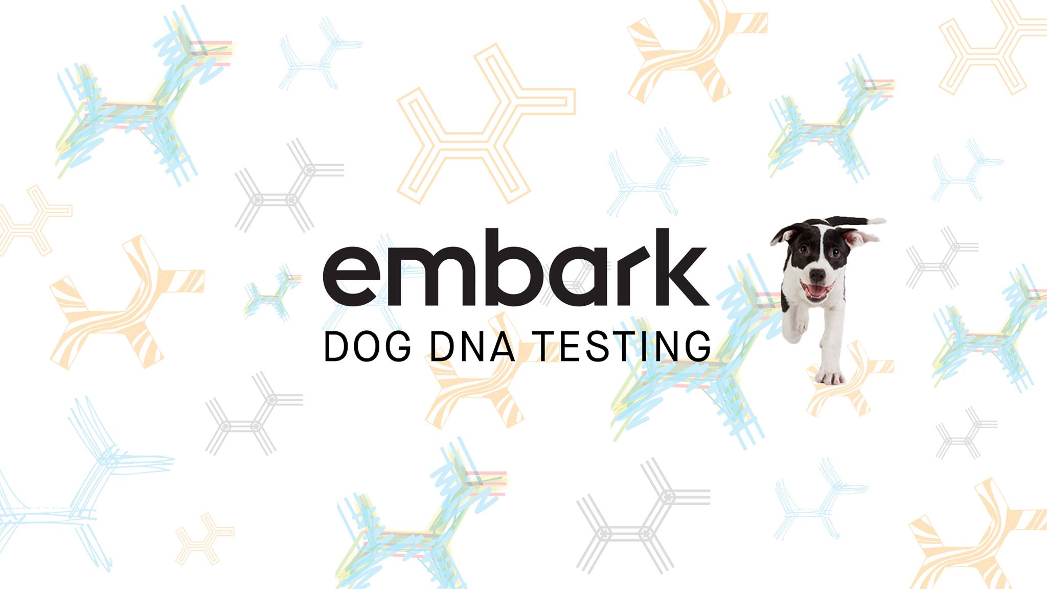 Embark for Breeders dog DNA test kits