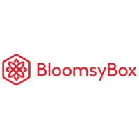 BloomsyBox - Logo