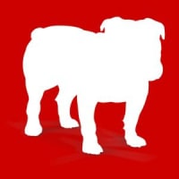 Bullguard - Logo