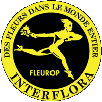 Interflora - Logo