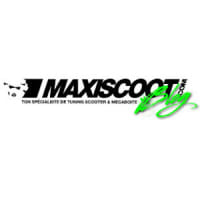 Maxiscoot - Logo
