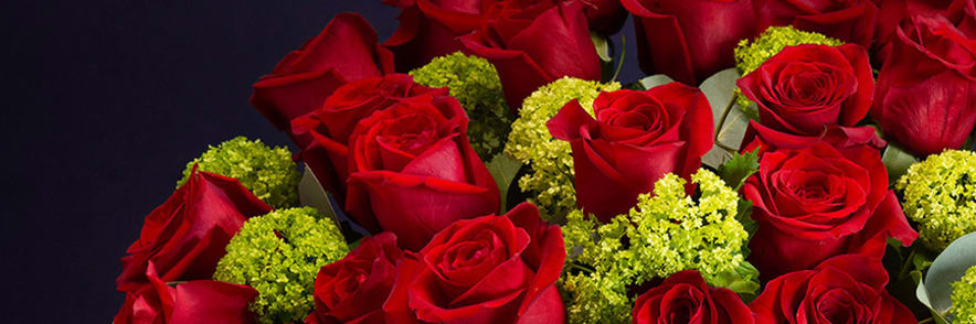 Free £5 Voucher with Orders Over £50 at Serenata Flowers